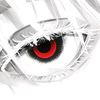 .ibraa21
