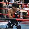 boxer_hoian