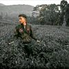 inisianl12346
