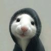 olyaalymova_0928