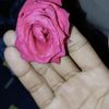 user66008267816818