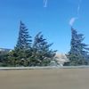 brayden.car