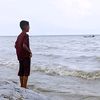 arianr225