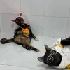 nhwnqoc001