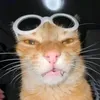 jetkideptrai