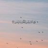 houssamcheaib8