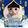 m.iqbal0211