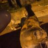 ayanoo_1702