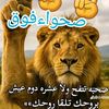 user8184918294270