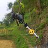 bajak_darat_team