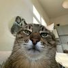 jarjittttttttttt3