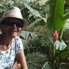 stelladez0