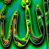 user51024408117245