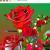 mamun.kazi81
