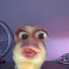 𝓗