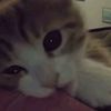user9205618181092