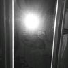 kiw_9992