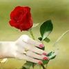 user33058344709574