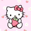 saima.akter508