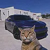paiva_692