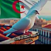 souhila.gridi