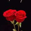 md.faruk.khan509