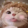 nhohaha05