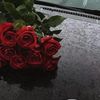 mirnamirna134