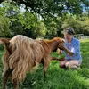 the.rescue.ranch