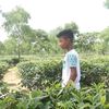 tufazzol.miya5
