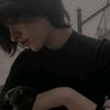 alita138.6