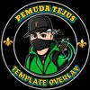 pemuda_tejus_template_2