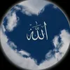 user94599819800316