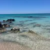 rebecca_8142