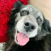 frederico_13anos