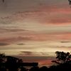 michi_2213