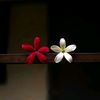 miss.forever1