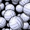 volleyball_vibezz.x