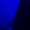 .tanu_.23