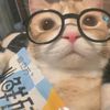 litlebigworld_649