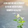 user1611303120959