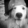 ._defnotmya