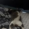 xiotticsfn