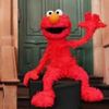 carterthemonkey8