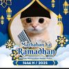 rramdan0988