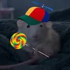 backup_b3lla_