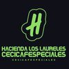 haciendalaurelesc1