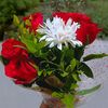 user26835193810625