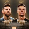 goat.football564