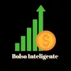 bolsointeligente66